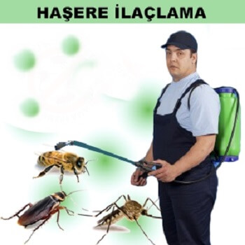 Yapraklı Böcek İlaçlama